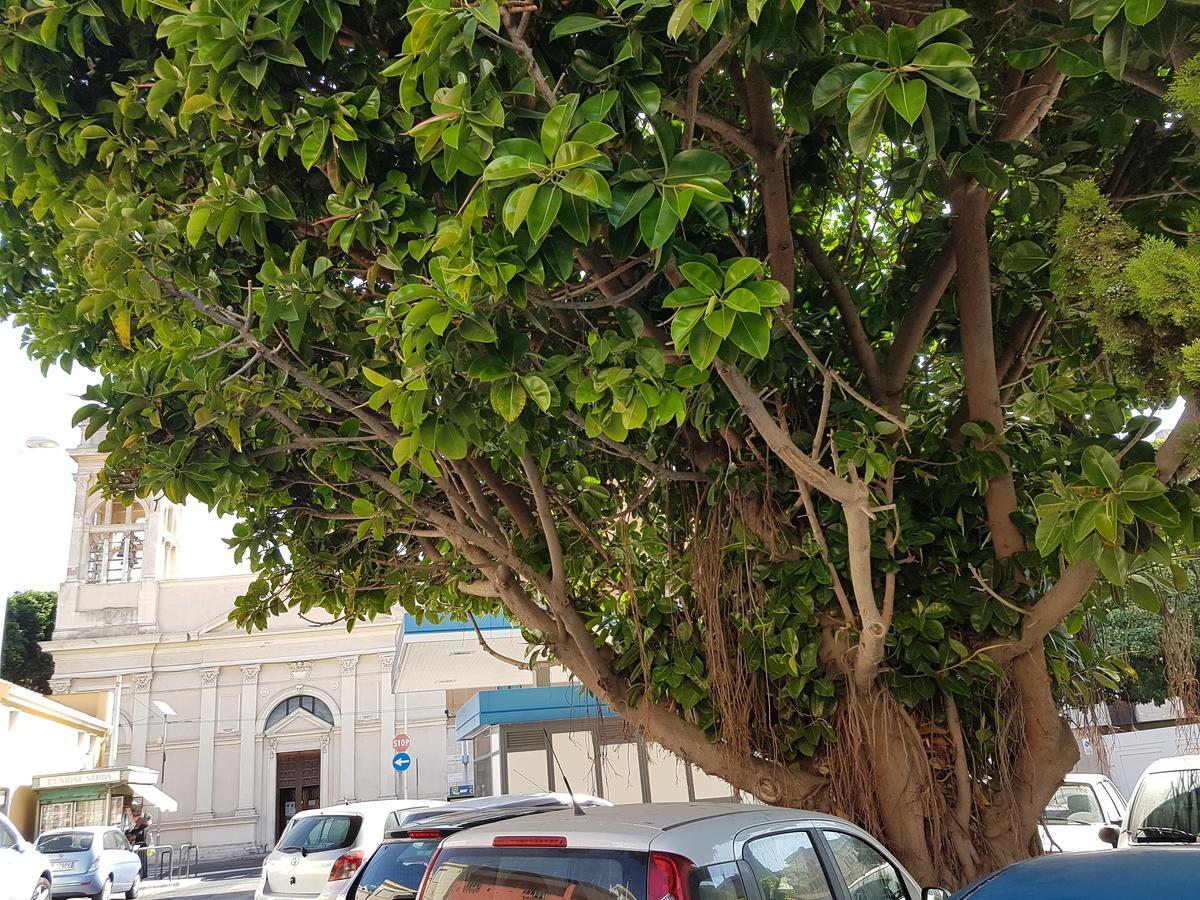 Da Agnese Locazioni Brevi Hotel Cagliari Bagian luar foto